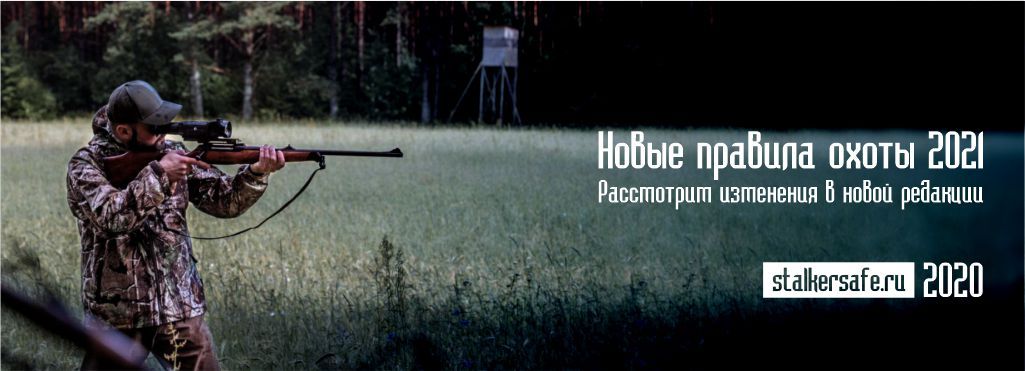 Вступают новые правила охоты в России с 2021 года